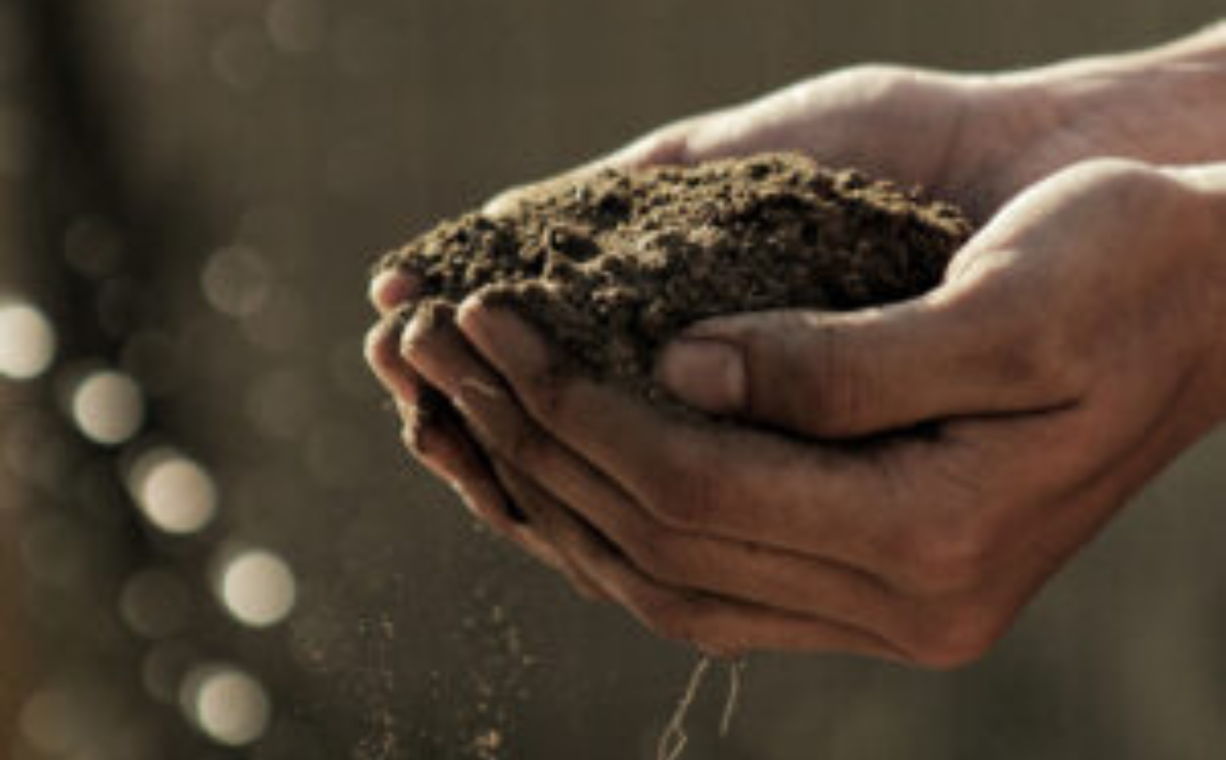 compost computabile