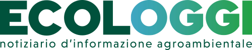 Copyright Ecologgi.it (c) Ecologgi.it