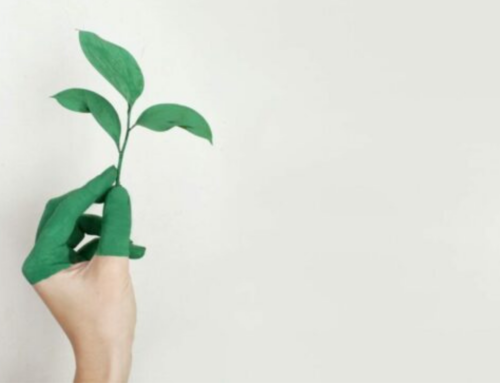 Sostenibilità economica, sociale e ambientale