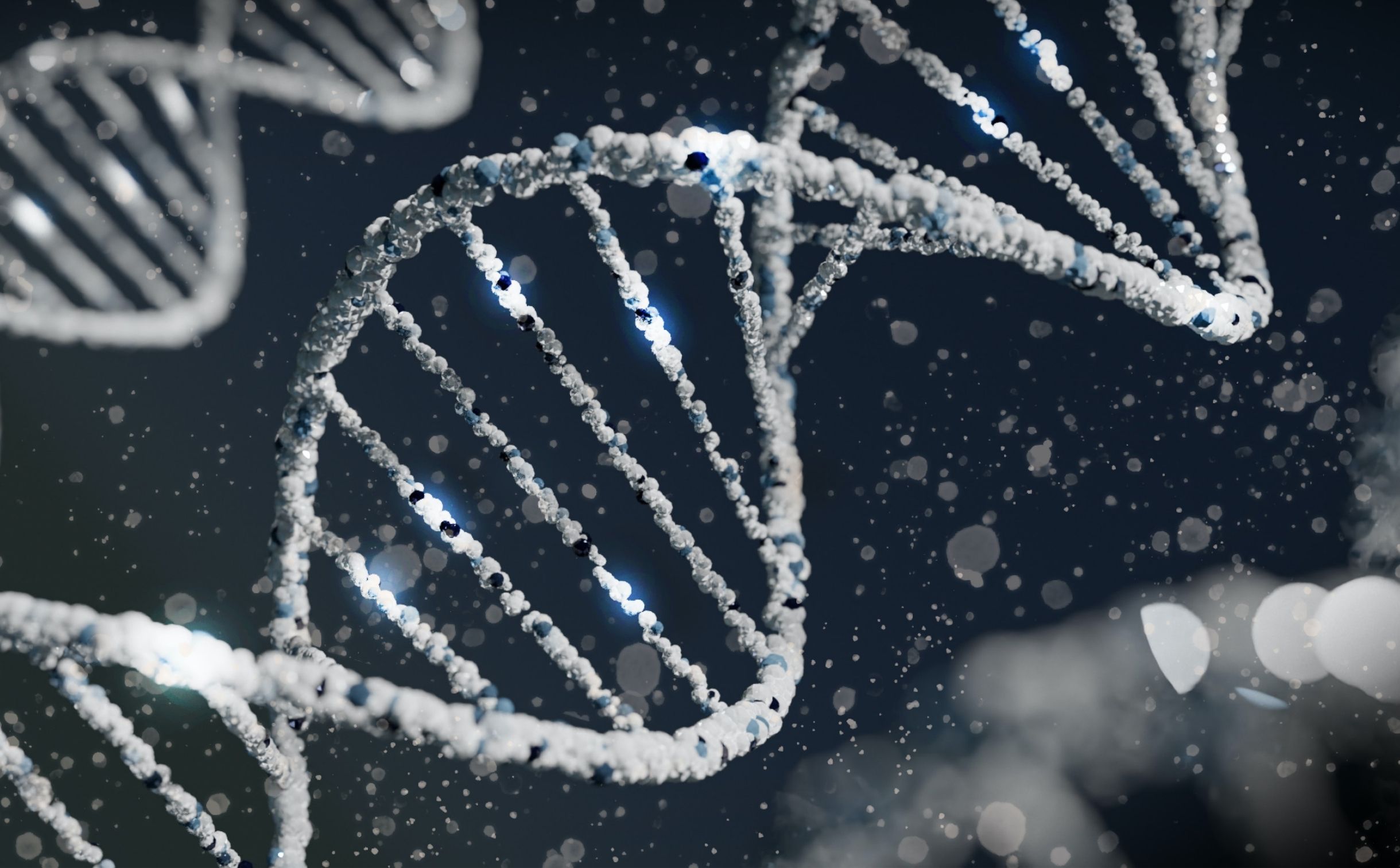 DNA – Ecologgi zanzara comune