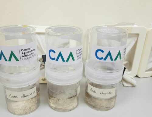 Entomologia: il laboratorio del CAA