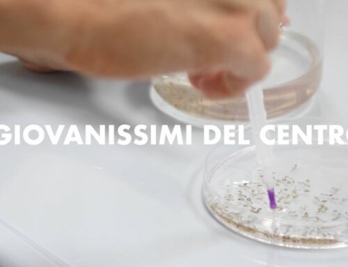 I giovanissimi del Centro Agricoltura Ambiente