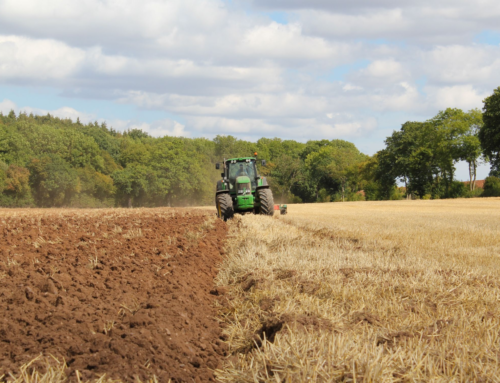 Agricoltura integrata: come si comporta l’Emilia-Romagna?