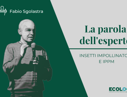 La parola dell’esperto: insetti impollinatori e IPPM