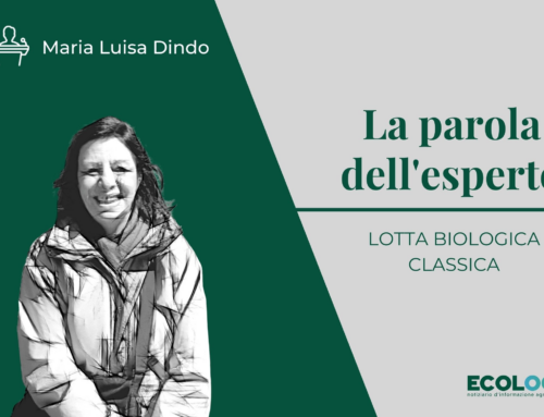 La parola dell’esperto: la lotta biologica classica