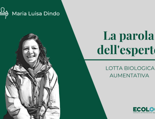 La parola dell’esperto: la lotta biologica aumentativa