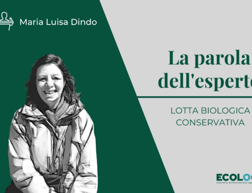 La parola dell’esperto: la lotta biologica conservativa
