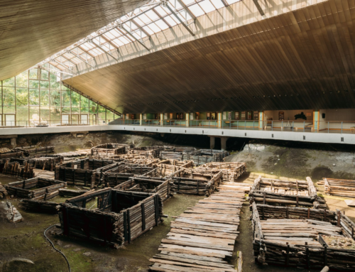 Reperti archeologici: il restauro del legno bagnato