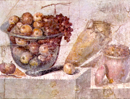 Food and Wine in ancient Verona: uno studio multidisciplinare basato sull’archeobotanica