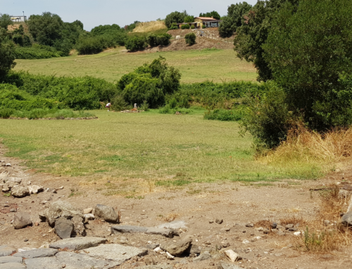 Parchi archeologici: la storia di Vulci e il contributo del Centro Agricoltura Ambiente