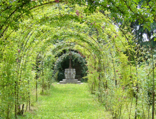Giardini storici: la ricostruzione del giardino di Palazzo Ludovico il Moro a Ferrara