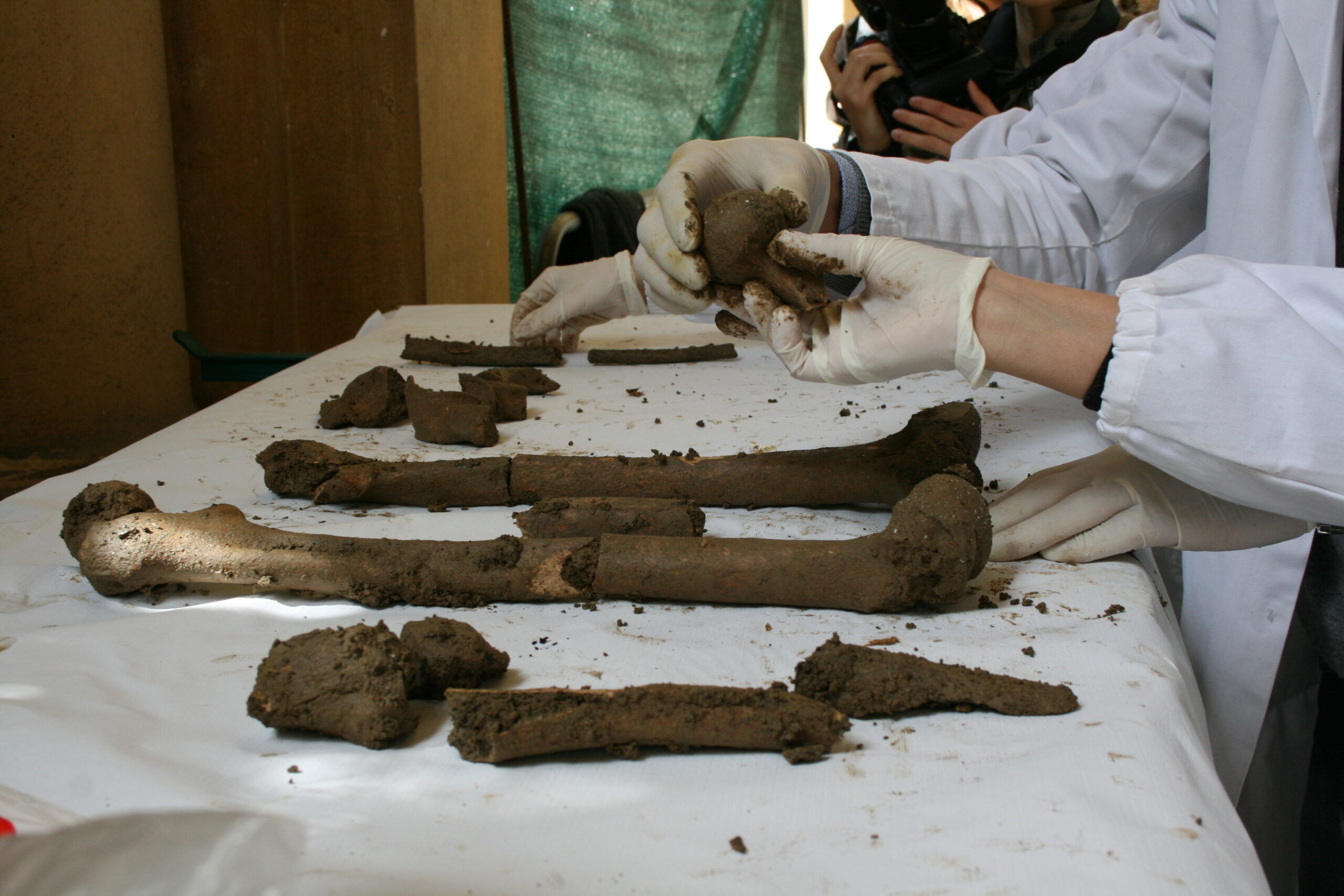 scienze forensi