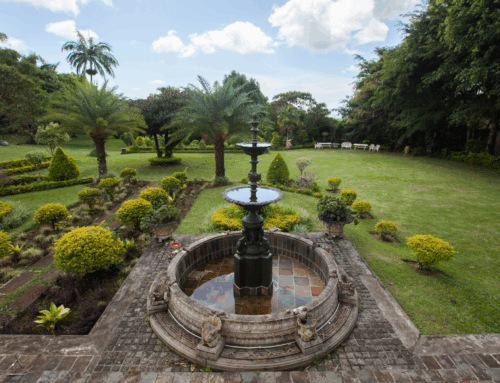 L’orto botanico come ponte tra passato e presente