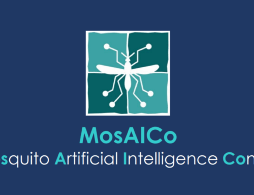 L’uso dell’Intelligenza Artificiale in entomologia medica: il progetto MosAICo