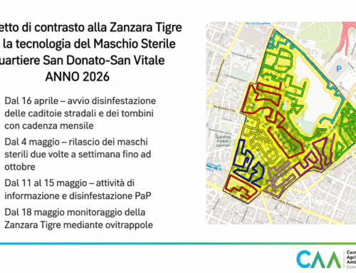 Contrastare la Zanzara Tigre senza insetticidi: il progetto del CAA a Bologna